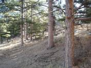 DSC05257.JPG