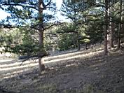 DSC05258.JPG