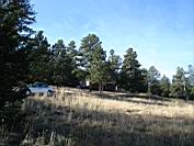 DSC05267.JPG