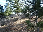 DSC05296.JPG