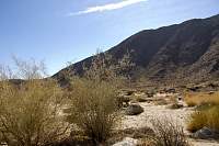 DSC_1510r.JPG