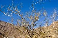 DSC_1525r.JPG