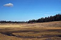 Duck_Creek_2887.jpg