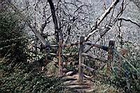 Cuyamaca_1477-fx.jpg