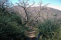 Cuyamaca_1478-fx.jpg