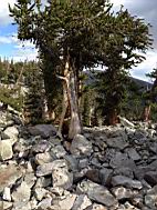 GBNP_BC-RG_2431.jpg