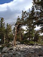 GBNP_BC-RG_2447.jpg