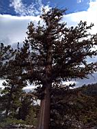 GBNP_BC-RG_2448.jpg