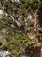 GBNP_BC-RG_2449.jpg