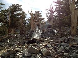 GBNP_BC-RG_2457.jpg
