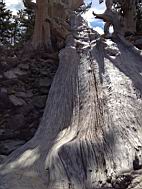GBNP_BC-RG_2467.jpg