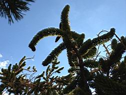 GBNP_BC-RG_2481.jpg
