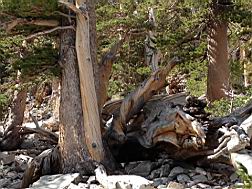 GBNP_BC-RG_2487.jpg