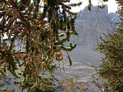 GBNP_BC-RG_2490.jpg