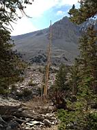 GBNP_BC-RG_2494.jpg