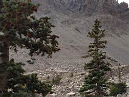 GBNP_BC-RG_2531.jpg