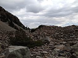 GBNP_BC-RG_2576.jpg
