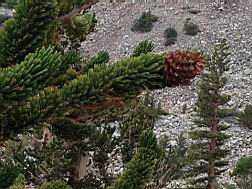 GBNP_BC-RG_2737.jpg