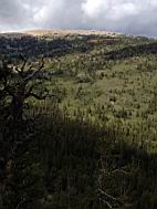 GBNP_BC-RG_2760.jpg