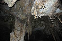 GBNP_Lehman_Caves_1334.jpg