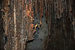 GBNP_Lehman_Caves_1392.jpg