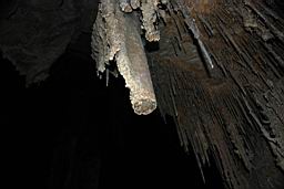 GBNP_Lehman_Caves_1400.jpg