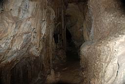 GBNP_Lehman_Caves_1406.jpg