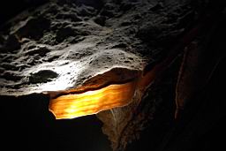 GBNP_Lehman_Caves_1474.jpg