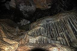 GBNP_Lehman_Caves_1494.jpg