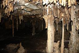 GBNP_Lehman_Caves_1589.jpg