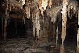 GBNP_Lehman_Caves_1591.jpg