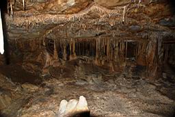 GBNP_Lehman_Caves_1595.jpg