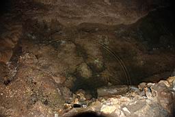 GBNP_Lehman_Caves_1666.jpg