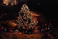 DSC_0338.jpg