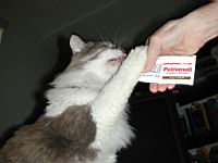 DSCN2883.JPG
