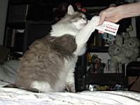 DSCN2889.JPG