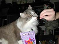 DSCN2890.JPG