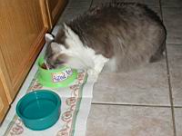 DSCN2895.JPG