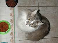 DSCN2898.JPG