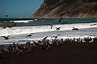 DSC_1760.JPG