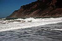 DSC_1800.JPG