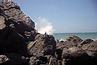 DSC_1824.JPG