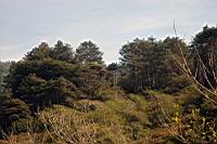 DSC_2118.jpg
