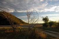 DSC_2219.jpg