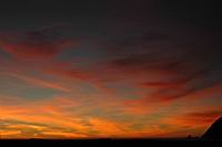 DSC_2234.jpg