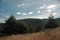 DSC_2378.jpg